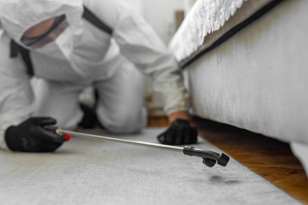 Professional Bed Bug Control technician working in Davis County County, IA